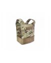 Covert Plate Carrier