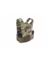 Covert Plate Carrier