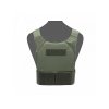 Covert Plate Carrier