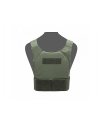 Covert Plate Carrier