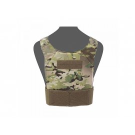 Covert Plate Carrier