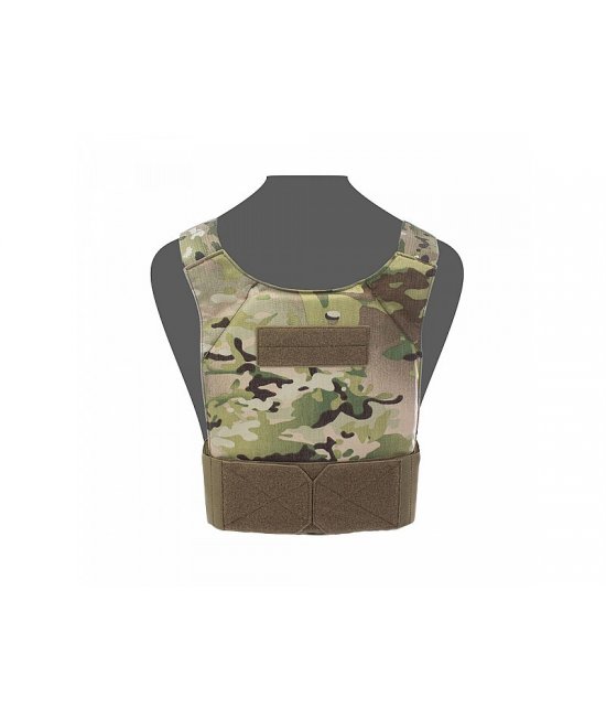 Covert Plate Carrier