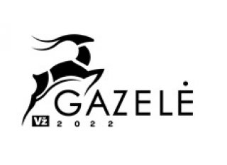Verslo gazelė 2022