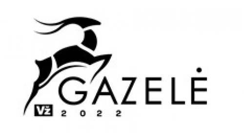 Verslo gazelė 2022